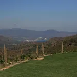 Sa Perafita - Mf